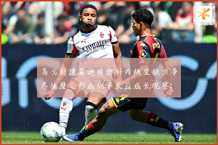 乌戈新援莱迪将弥补内线空缺力争尽快磨合形成化学反应成长观察：最新赛事动态与深度分析