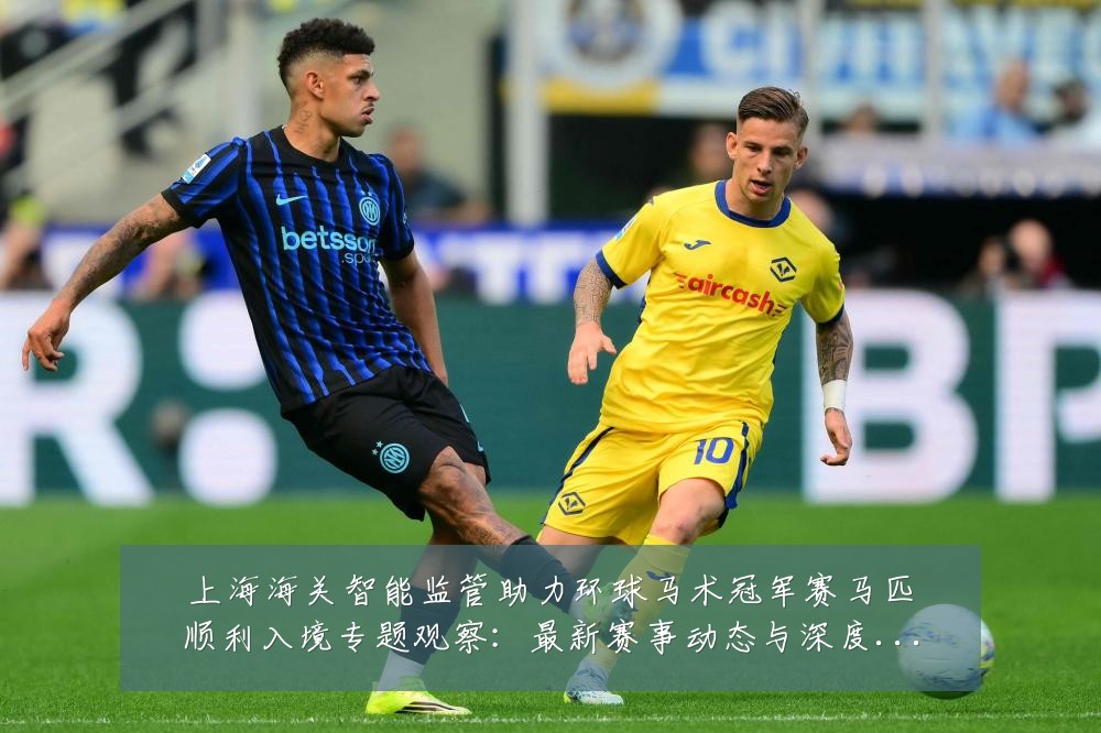 上海海关智能监管助力环球马术冠军赛马匹顺利入境专题观察:最新赛事动态与深度分析