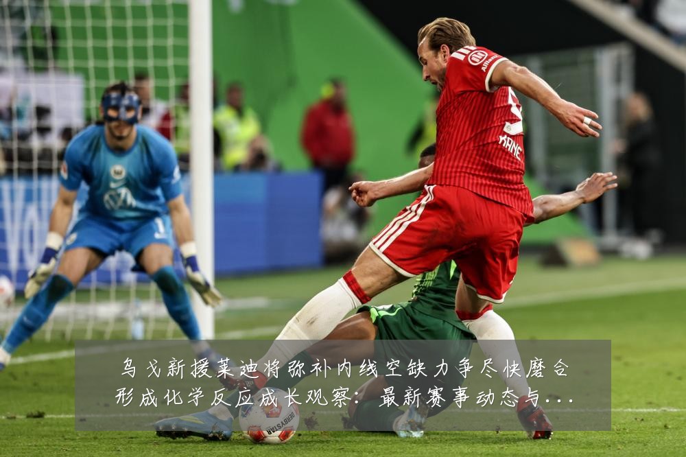 乌戈新援莱迪将弥补内线空缺力争尽快磨合形成化学反应成长观察:最新赛事动态与深度分析