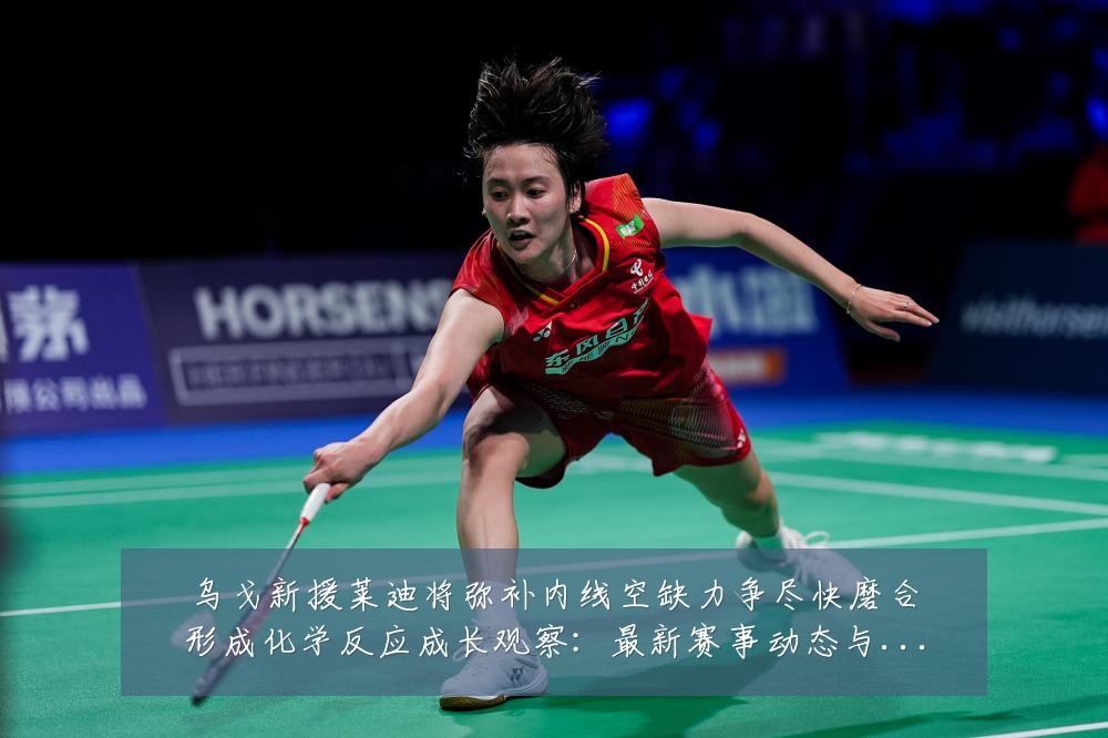 乌戈新援莱迪将弥补内线空缺力争尽快磨合形成化学反应成长观察:最新赛事动态与深度分析